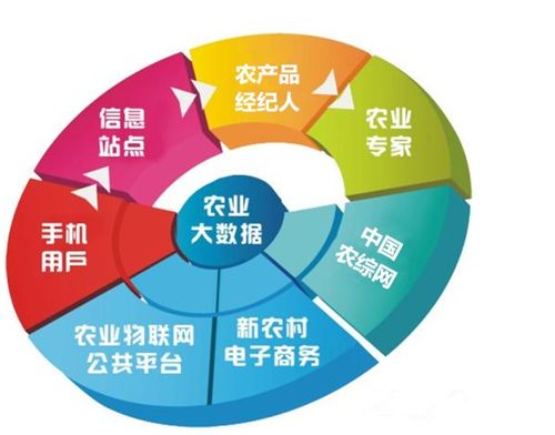 打造农业圈很重要 网络技术如何帮农人赚钱