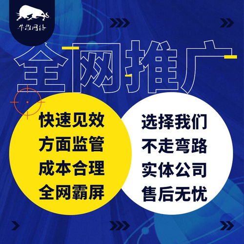 精诚所至，金石为开 上海牛推信息推广公司网络技术开发之路